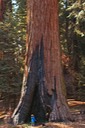 2-Giants