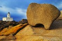 Art-in-Nature-5