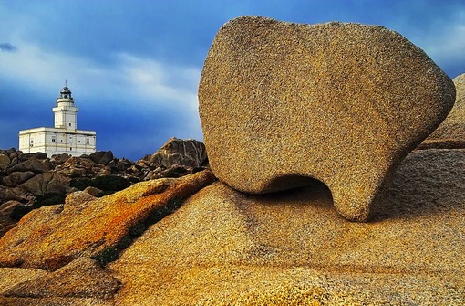 Art-in-Nature