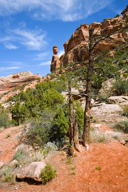 B-Rock