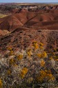 Badlands-