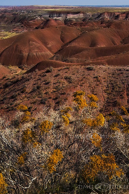 Badlands-