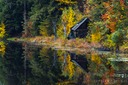 Beams-Barn-