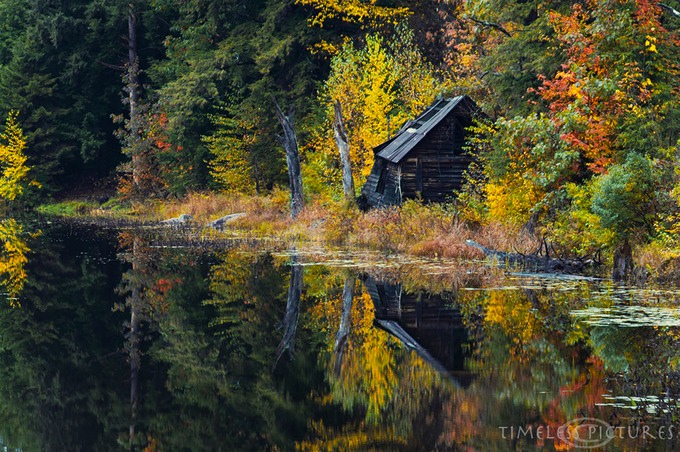 Beams-Barn-