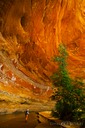 Big-Alcove