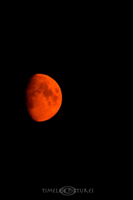 Bloodmoon