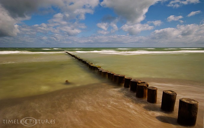 Bohnen-North-Beach