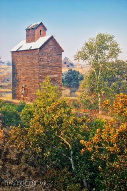 Boyd-Old-Mill