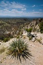Canyon-Entrance-Overview