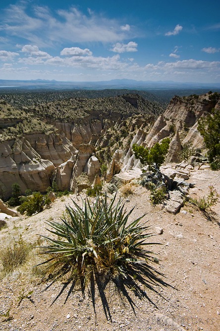 Canyon-Entrance-Overview