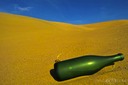 Castaway