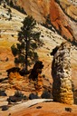Chimney-Rocks