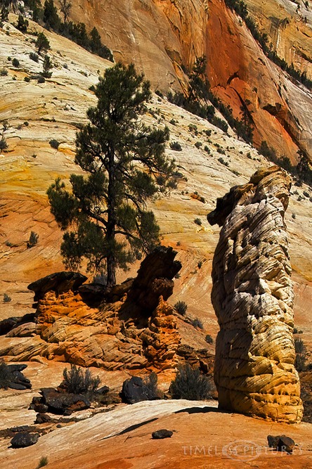 Chimney-Rocks