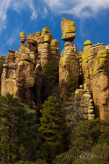 Chiricahua-Valley