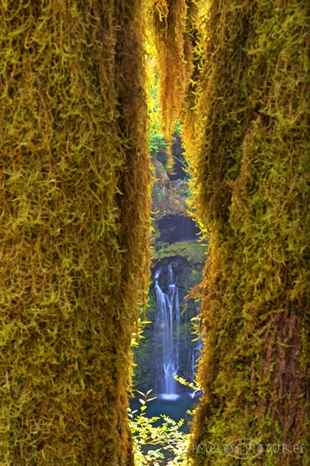 Curly-Creek-Falls