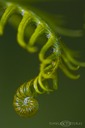 Makro Saison - 2011