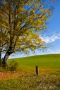 Darling-Hill-Road