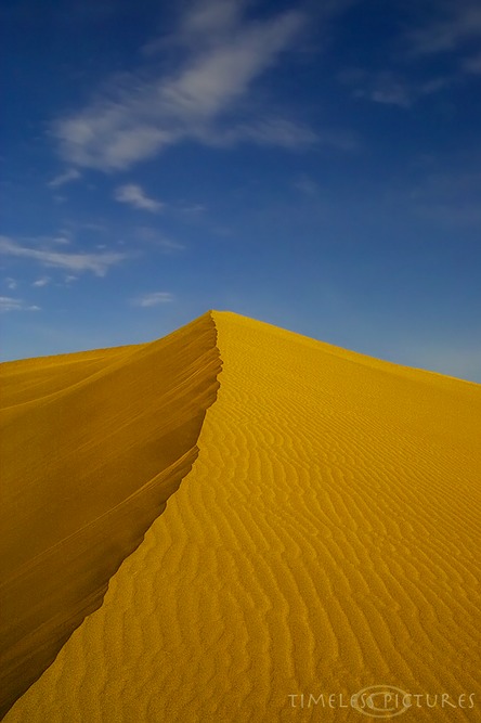 Desert-Dreams-II