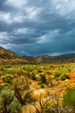 Desert-Storm