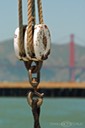 Docks