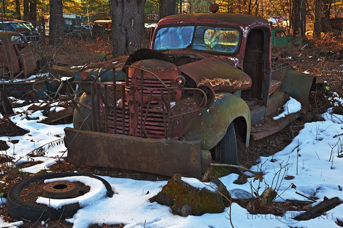 Dodge