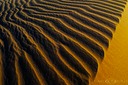 Earlie-Morning-III