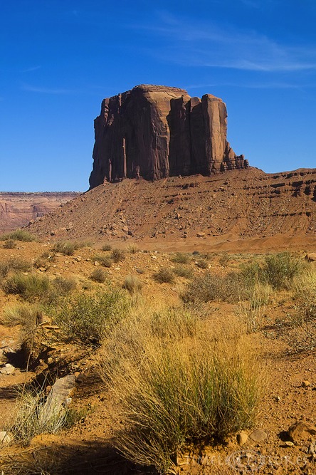 Elephant-Butte