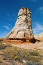 Elephant-Feet
