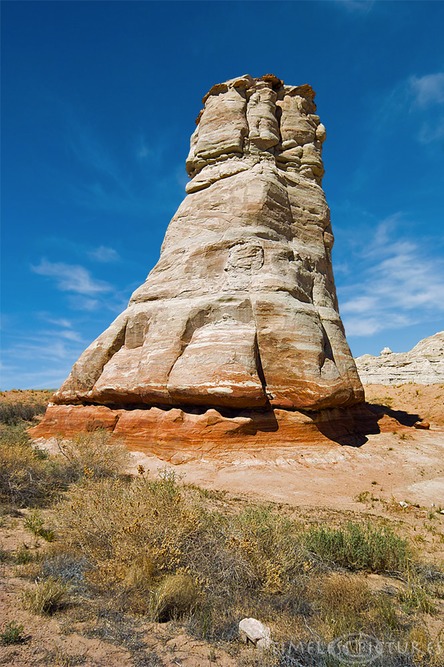 Elephant-Feet