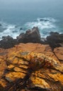 Foggy-Cubble-Beach-2