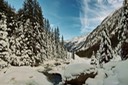 Grabaalm---Stubaital