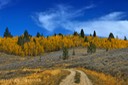 Gros-Ventre-Wilderness