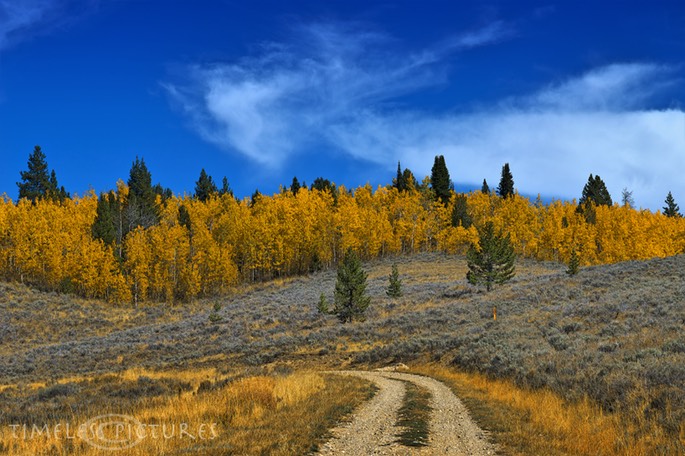 Gros-Ventre-Wilderness