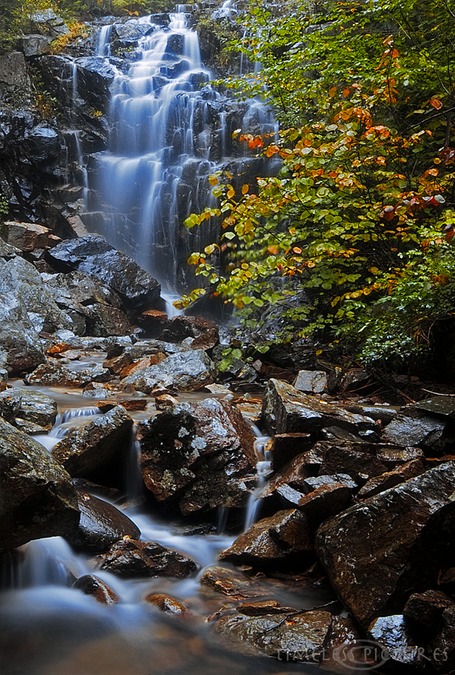 Hadlock-Falls