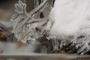 Ice-Age