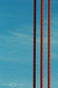 III