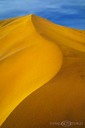 IMG00019