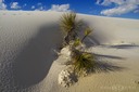 IMG00021