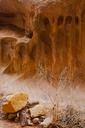IMG00054