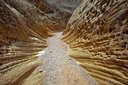 IMG00107