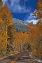 Independence-Pass