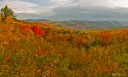Kancamagus-Lights-II