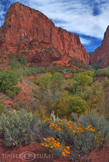 Kolob-Canyon-1-
