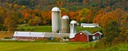 Laurie-Brother-Farm-II
