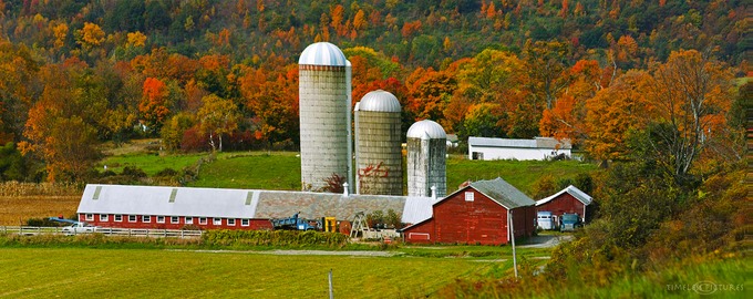 Laurie-Brother-Farm-II