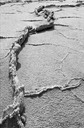 Life-Line