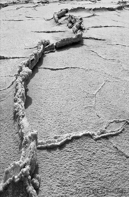 Life-Line