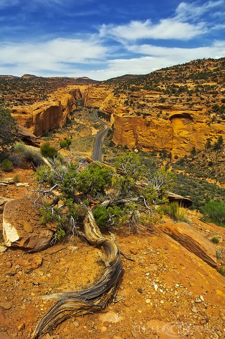Long-Canyon
