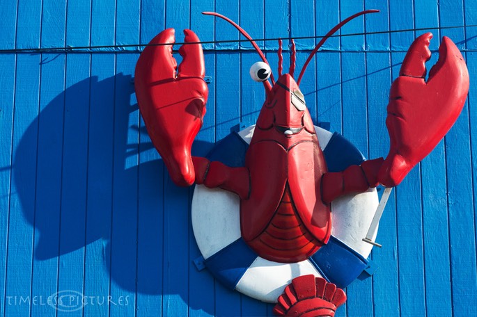 Longwarf-Seafood