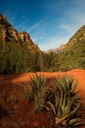 Lost-Wilson-Mtn